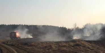 На Сарненщині до відповідальності притягнули чотирьох паліїв трави