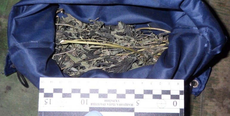 На Рівненщині чоловіка затримали за збут травички 