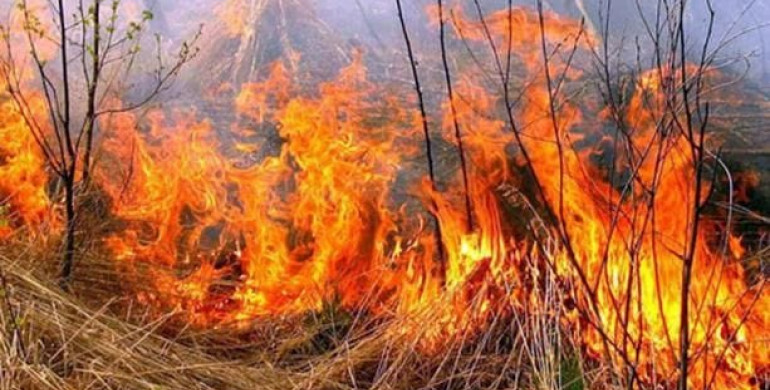 На Володимиреччині в пожежі знайшли тіло