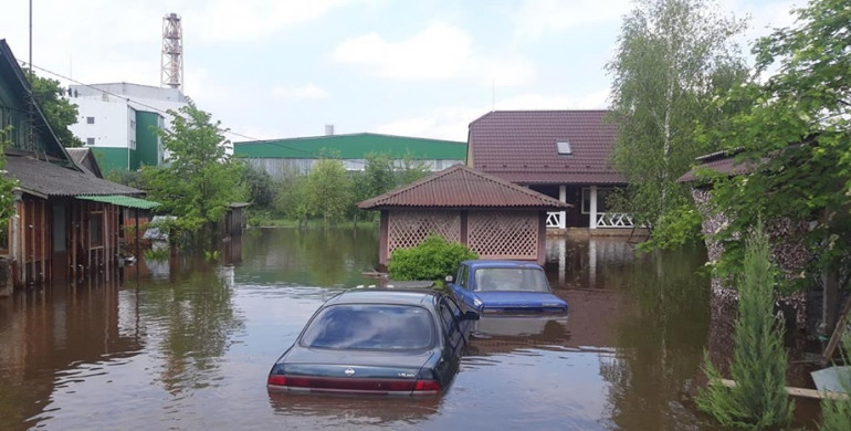 У Рокитному затопило село - води більше метра. Селяни рятують тварин