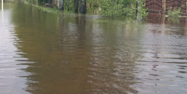 У Рокитному затопило село - води більше метра. Селяни рятують тварин