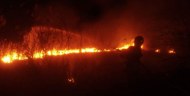 На Рівненщині в п'яти районах підпалювали суху траву (ФОТО)
