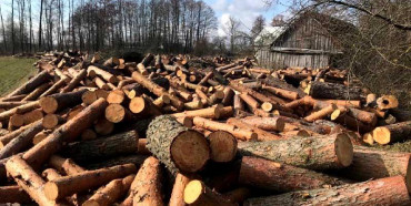 На Рівненщині знайшли 200 кубів деревини без документів