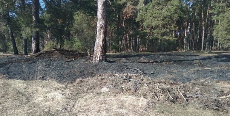 На Рівненщині вогнеборці врятували від пожежі ліс (ФОТО) 