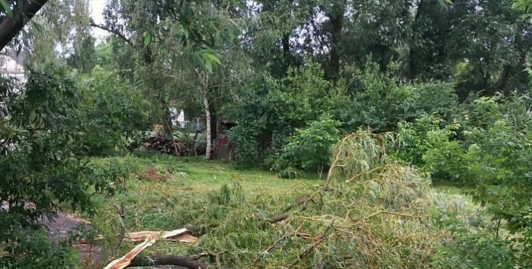 Наслідки негоди на Дубенщині: град та повалені дерева (ФОТО)