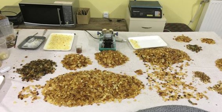Турецький "гарем" в Рівному обробляв бурштин (ФОТО)