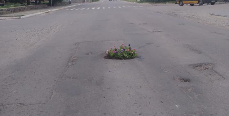 Стомились чекати: на Рівненщині посеред дороги висадили клумбу замість ями  (ФОТО) 