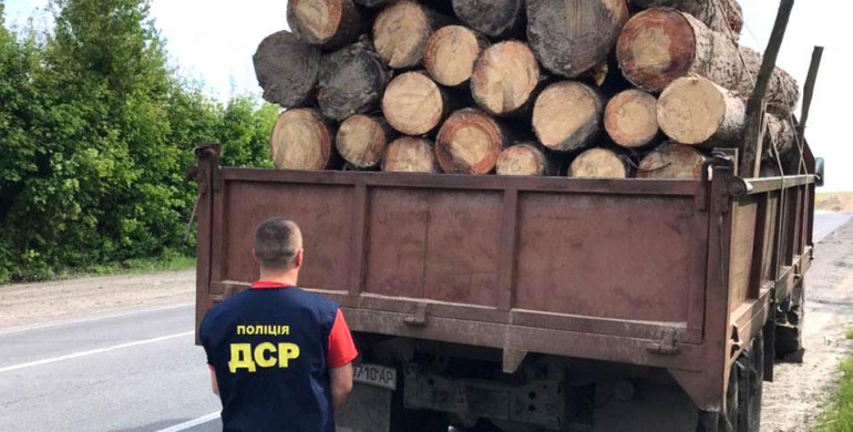 На Рівненщині на хабарі викрили працівника лісового господарства