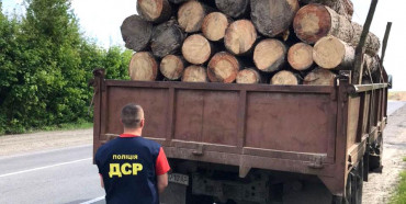 На Рівненщині на хабарі викрили працівника лісового господарства