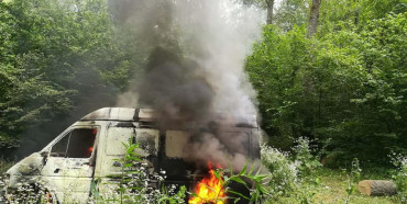 У Клевані зловмисники спалили автомобіль, яким крали дуби у лісництві