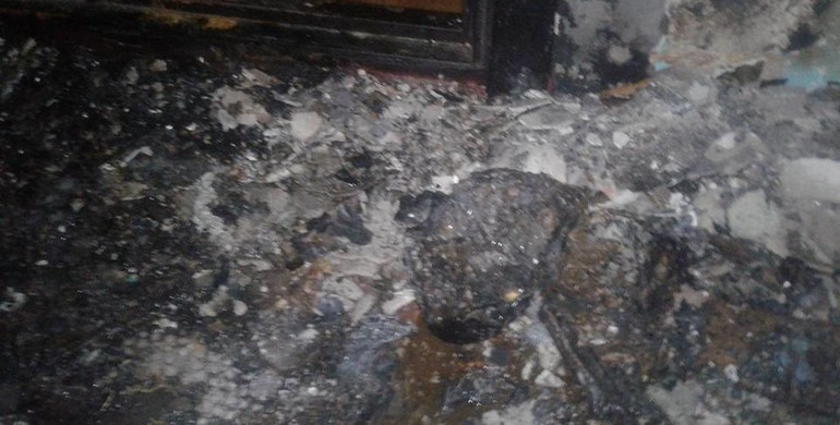 Родичам журналіста сайту "ВСЕ" вночі підпалили квартиру "коктейлем молотова"