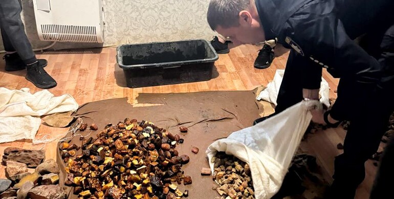 На Рівненщині викрили злочинну групу, яка організувала бурштиновий бізнес 