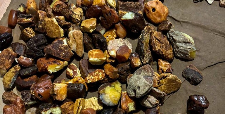 На Рівненщині викрили злочинну групу, яка організувала бурштиновий бізнес 