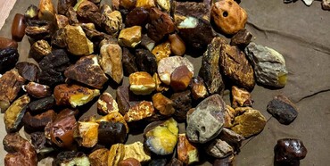 На Рівненщині викрили злочинну групу, яка організувала бурштиновий бізнес 