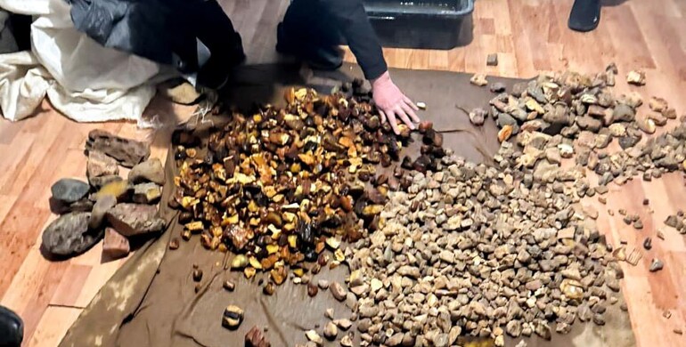 На Рівненщині викрили злочинну групу, яка організувала бурштиновий бізнес 