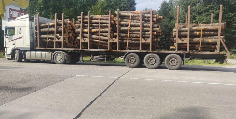 На Сарненщині чоловік незаконно перевозив 25 метрів кубічних деревини 