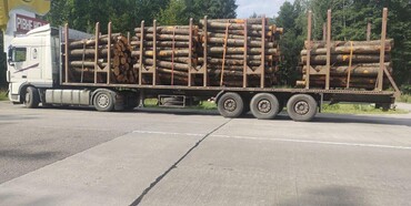 На Сарненщині чоловік незаконно перевозив 25 метрів кубічних деревини 