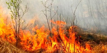 Як рятувальники Рівненщини ліквідовують пожежі в екосистемах? (ВІДЕО) 