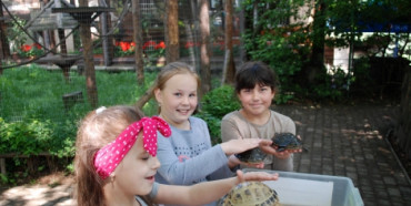 Всесвітній день черепах відзначили у Рівненському зоопарку (ФОТО)