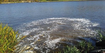 Вміст кишкової палички у воді Басівкутського озера перевищує допустиму норму у 50 разів