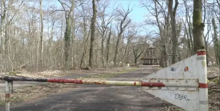 У Німеччині вбито 19-річну жительку Рівненщини: підозрюють її 17-річного сирійського хлопця