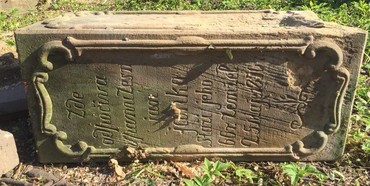 У селі на Рівненщині вандали-дроворуби нищать старе чеське кладовище