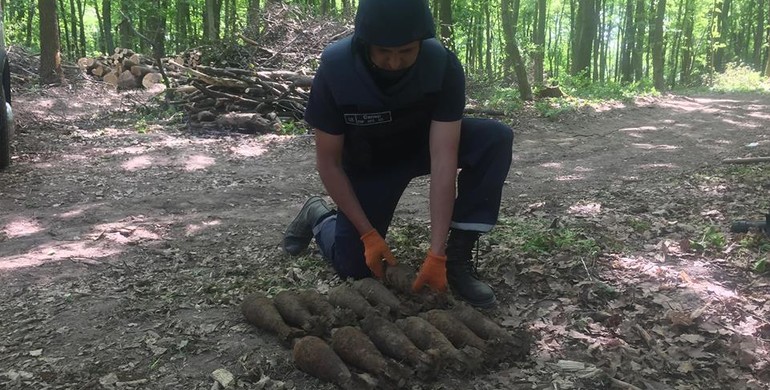 В лісі на Рівненщині знайшли 12 мін