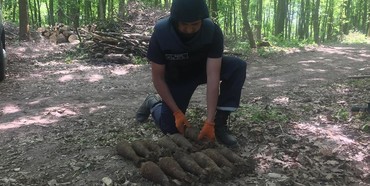 В лісі на Рівненщині знайшли 12 мін