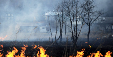 За добу на Рівненщині стались дві пожежі в екосистемах