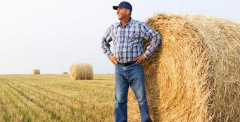 На Рівненщині стимулюють розвиток сімейних фермерських господарств