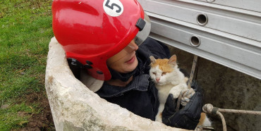 На Рівненщині рятувальники витягли з криниці кота (ФОТО)