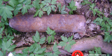 У лісі на Рівненщині знайшли артилерійський снаряд та авіаційну бомбу