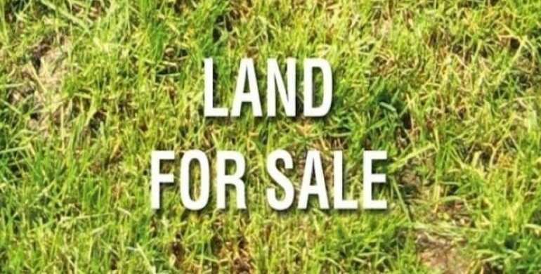 Рівненська компанія опитала українців щодо продажу сільськогосподарських земель