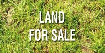 Рівненська компанія опитала українців щодо продажу сільськогосподарських земель